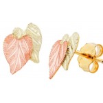 Heart Earrings - by Landstrom's